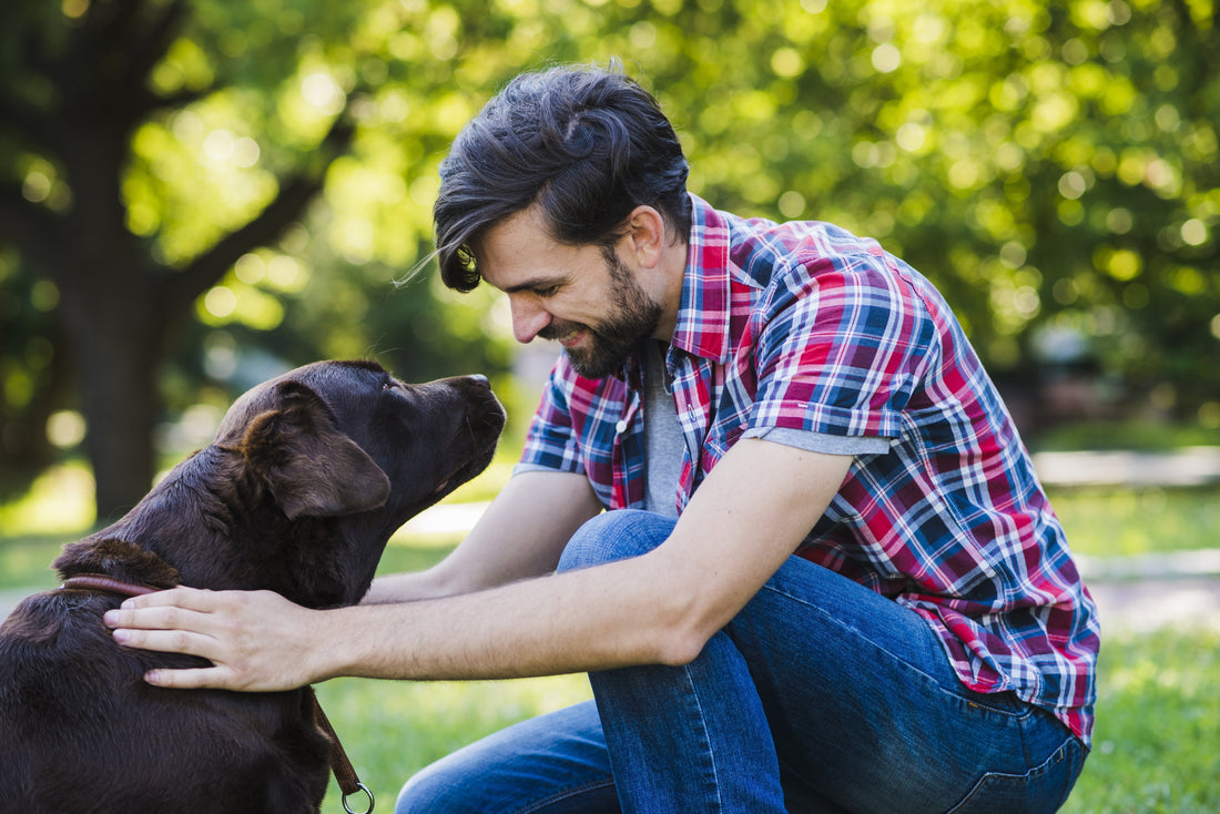 Summer Must-Dos for Dogs – Keeping Your Pup Safe & Active