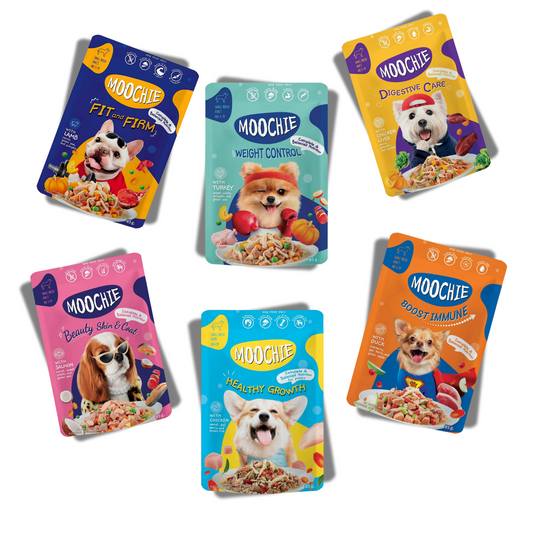 Moochie 6-Flavor Mixed Wet Dog Food Pack – 85g Pouches | Healthy & Tasty Meals for Dogs