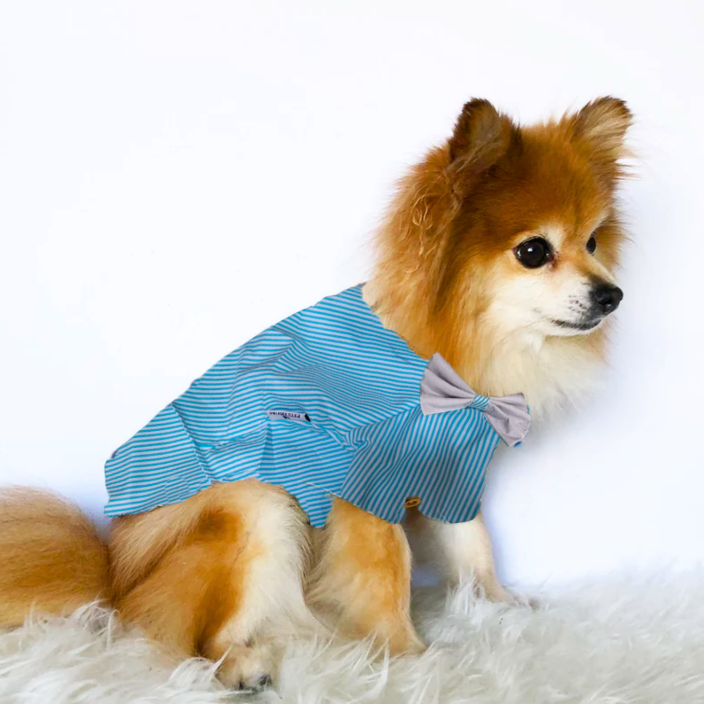 Pets Empire Printed Shirt for Dogs - Stripes & Hues