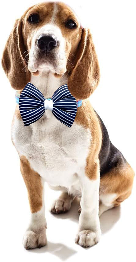 Pets Empire Classic Striped Bow Tie