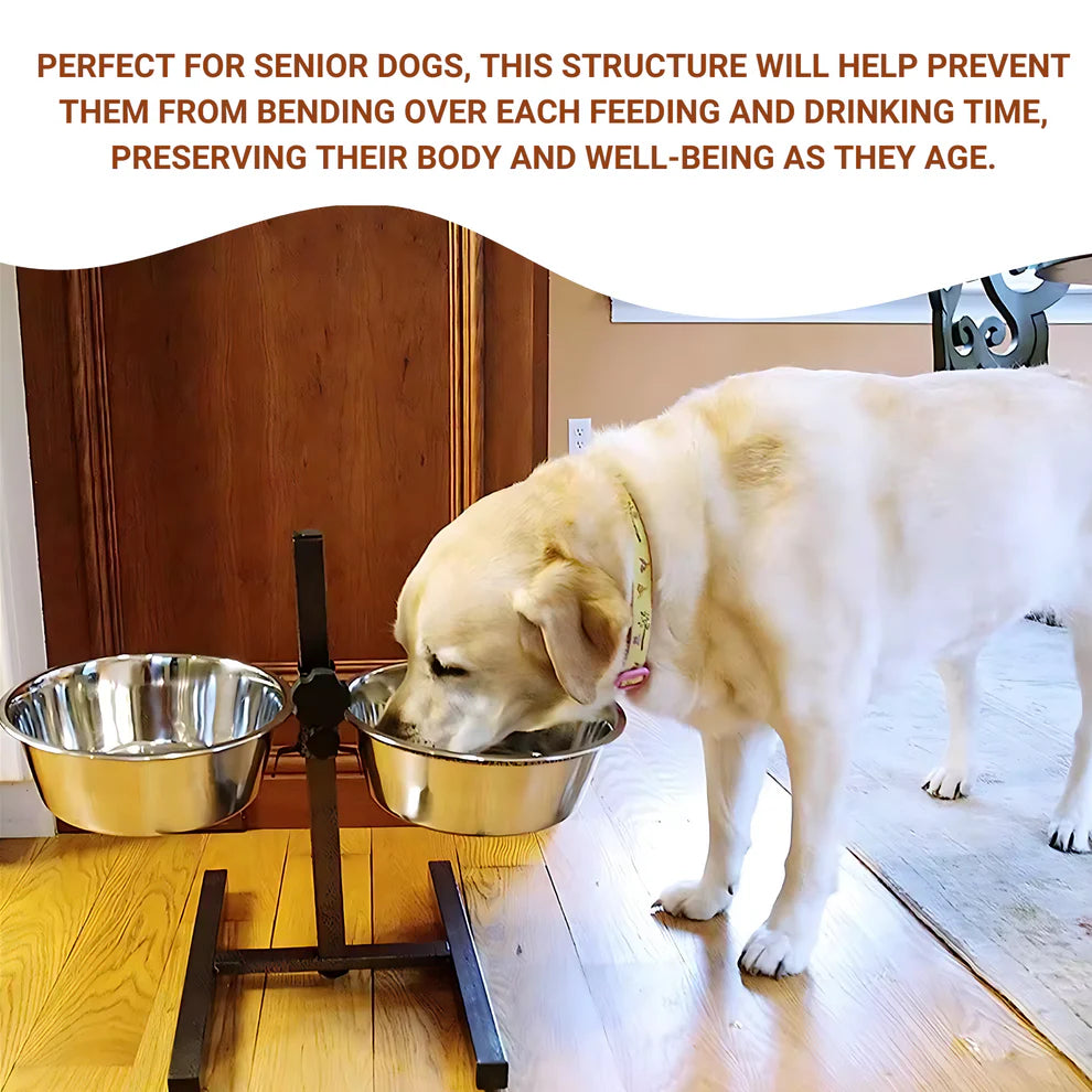 Pets Empire Adjustable Double Diner For Dog