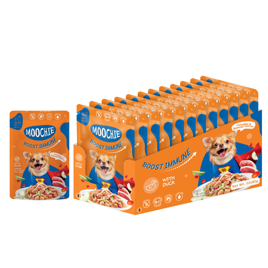 Moochie Boost Immune Wet Dog Food – 85g Pouches | Strengthen Immunity & Support Vitality