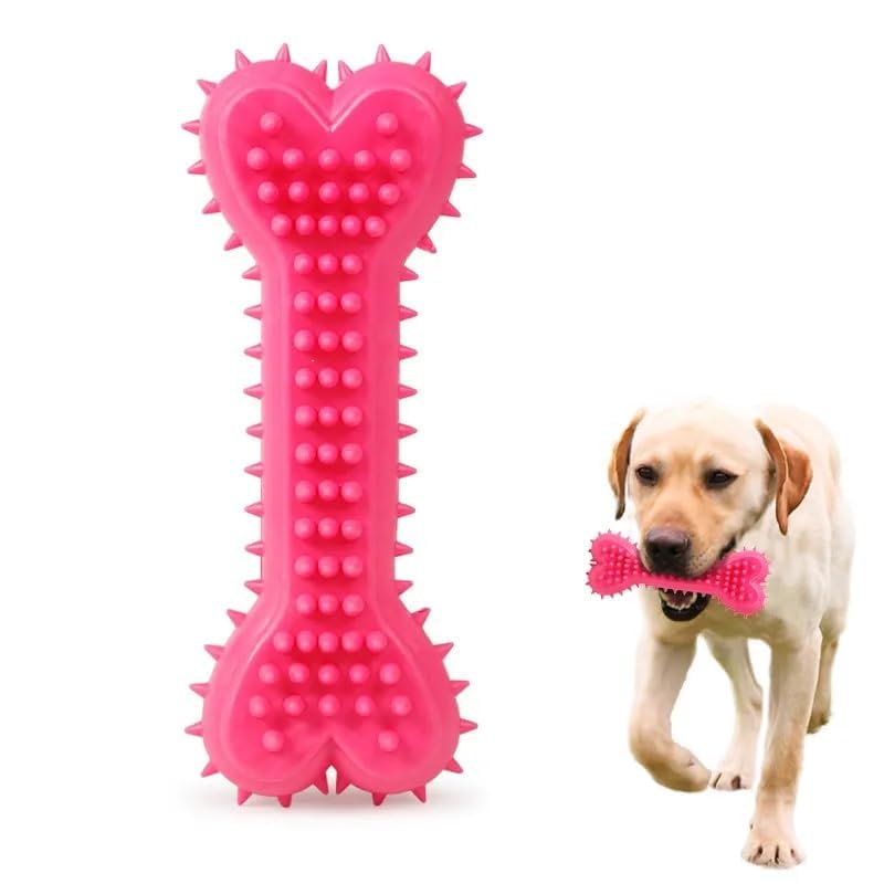 PETS EMPIRE Puppy Spike Rubber Bone Teething Chew Toy Pack of 2 (Multicolor)