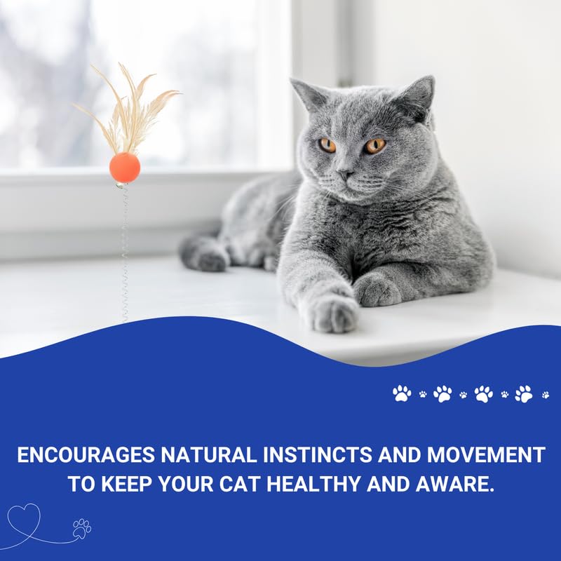 Pets Empire Spring & Feather Teaser Toy for Cats (Pack of 2)