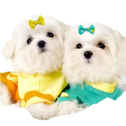 Pets Empire Mixed Hair Bows Clip for Cat/Puppy