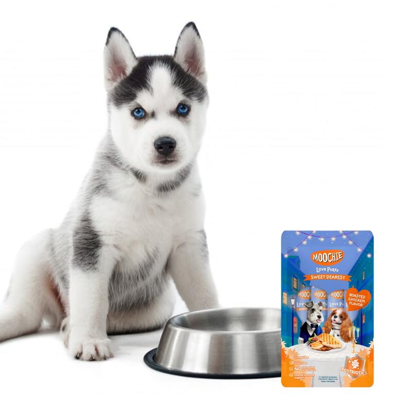 Moochie Creamy Dog Treats – Roasted Chicken Flavour | Healthy & Tasty Snack