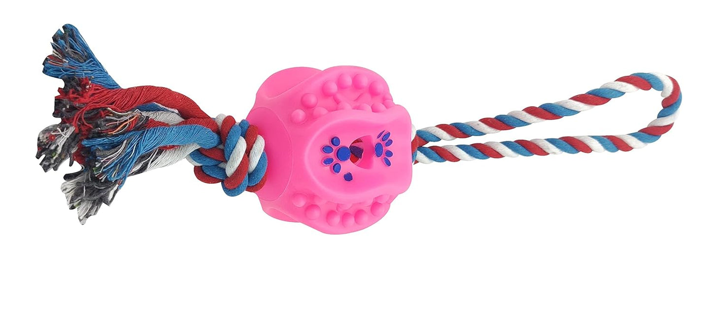 Pets Empire Ball Toy for Dogs (Color May Vary)