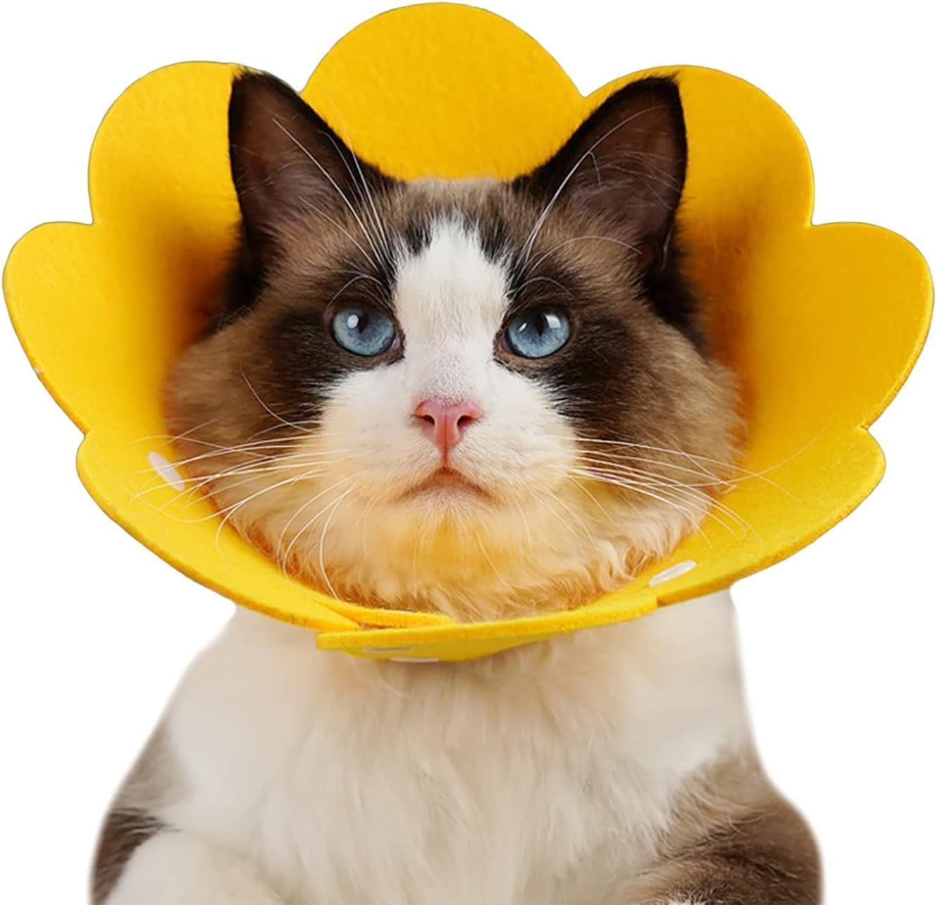 Pets Empire Adjustable Flower Shape Cats Cone Collar