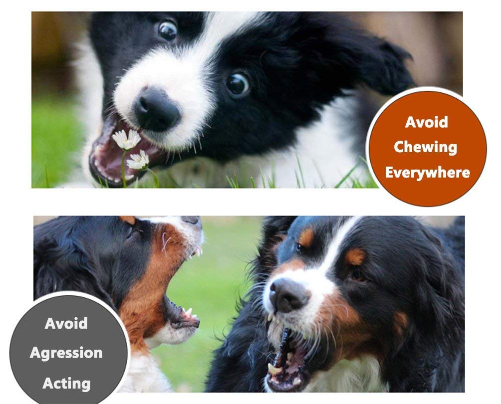 Pets Empire Pet Adjustable Dog Muzzle Leather 1 Piece