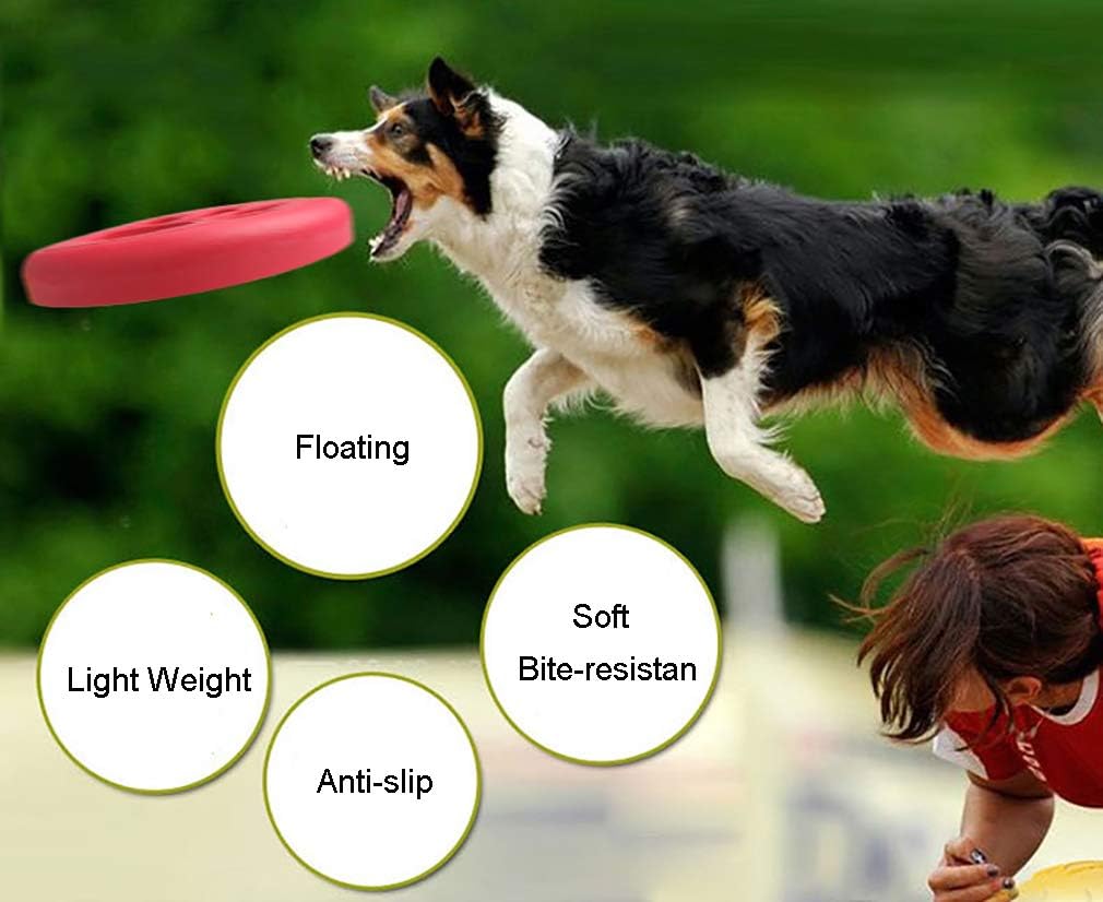 Pets Empire Flying Disc Toy for dogs