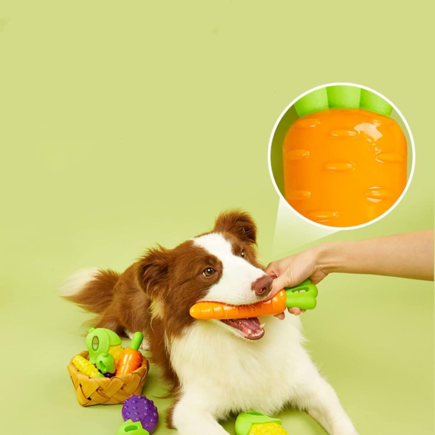 PETS EMPIRE Carrot Chew Rubber Teething Toy for Dog 1 Pc