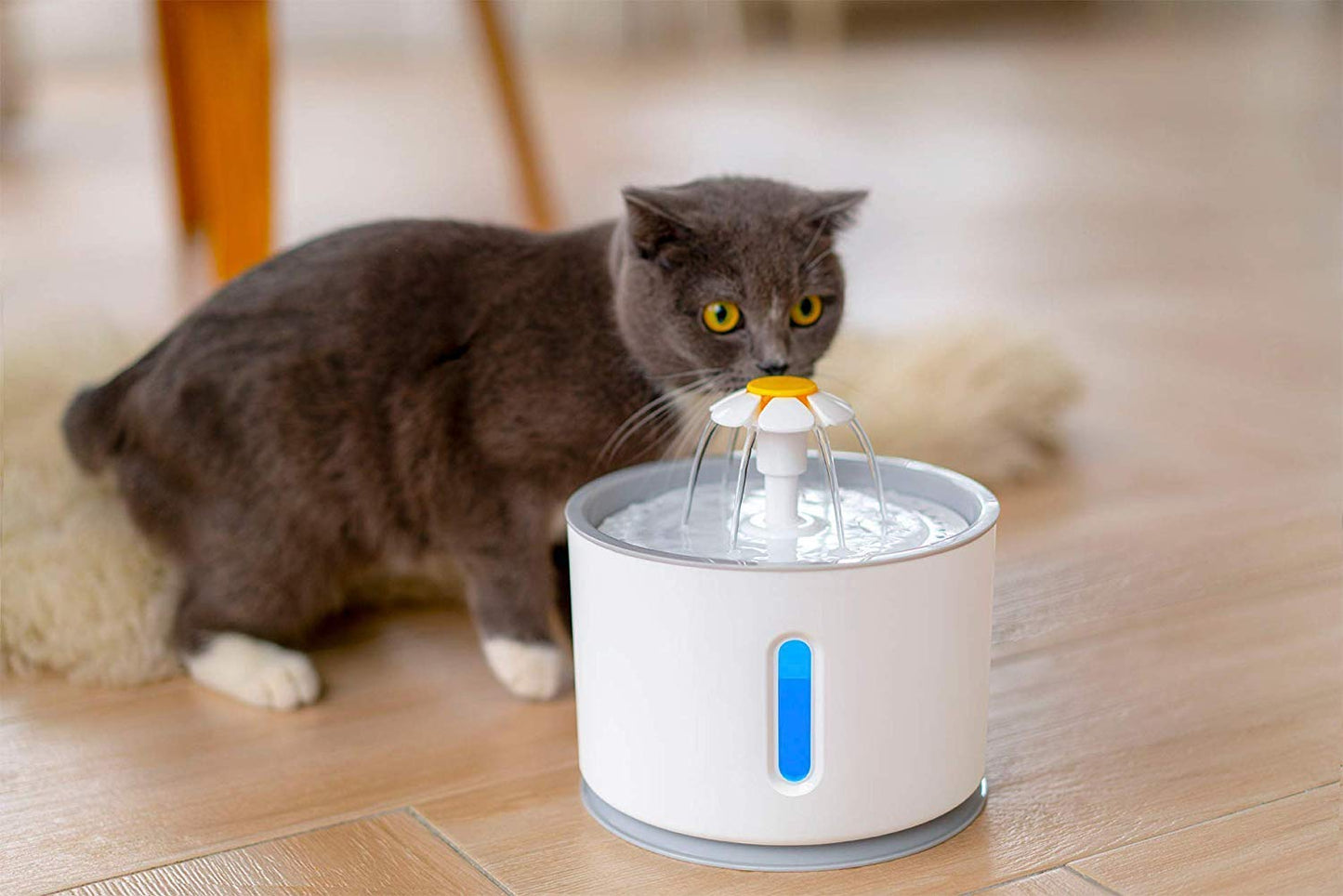 Pets Empire Electric Cat Drinking Water Fountain - 2.4L