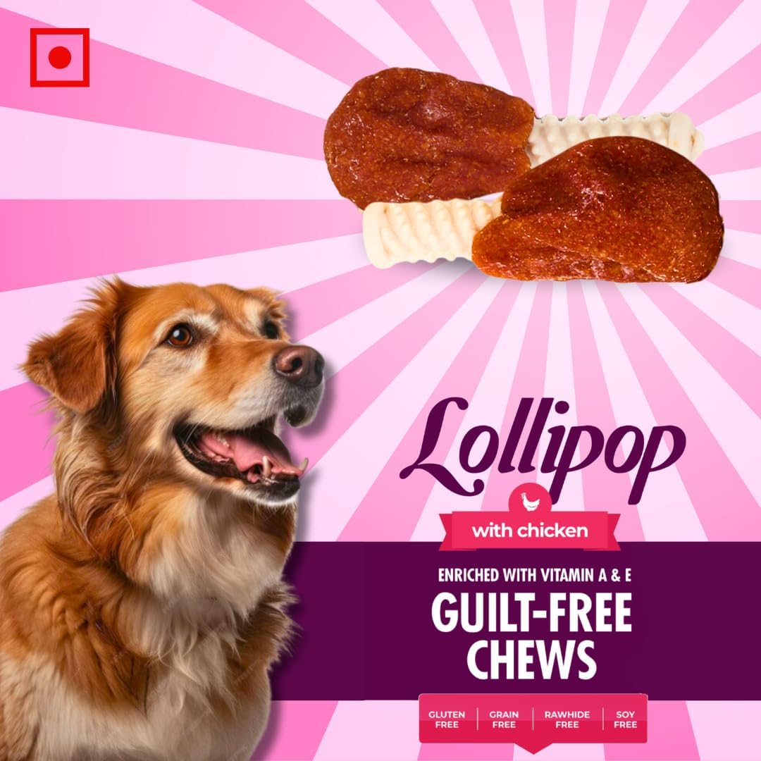 Gluten-Free Treats & Chews Lollipop for Dogs (Pack of 2)