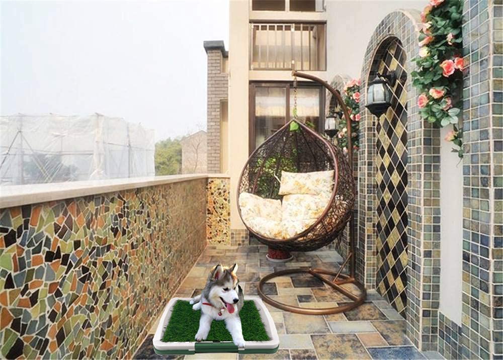 Pets Empire Potty Training Grass Tray for Puppies & Small Dogs