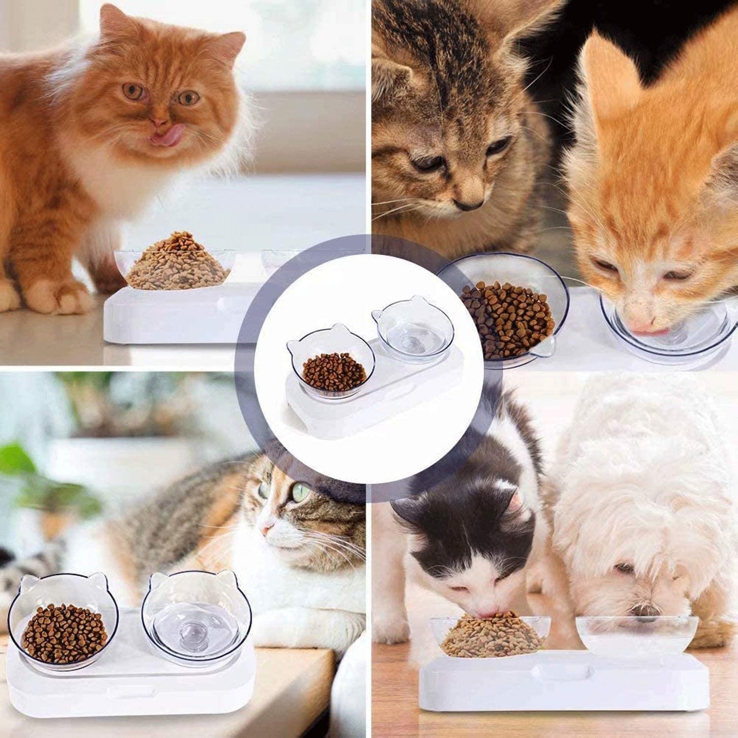 Pets Empire Inclined Dual Food & Water Bowl – Cats & Small Dogs