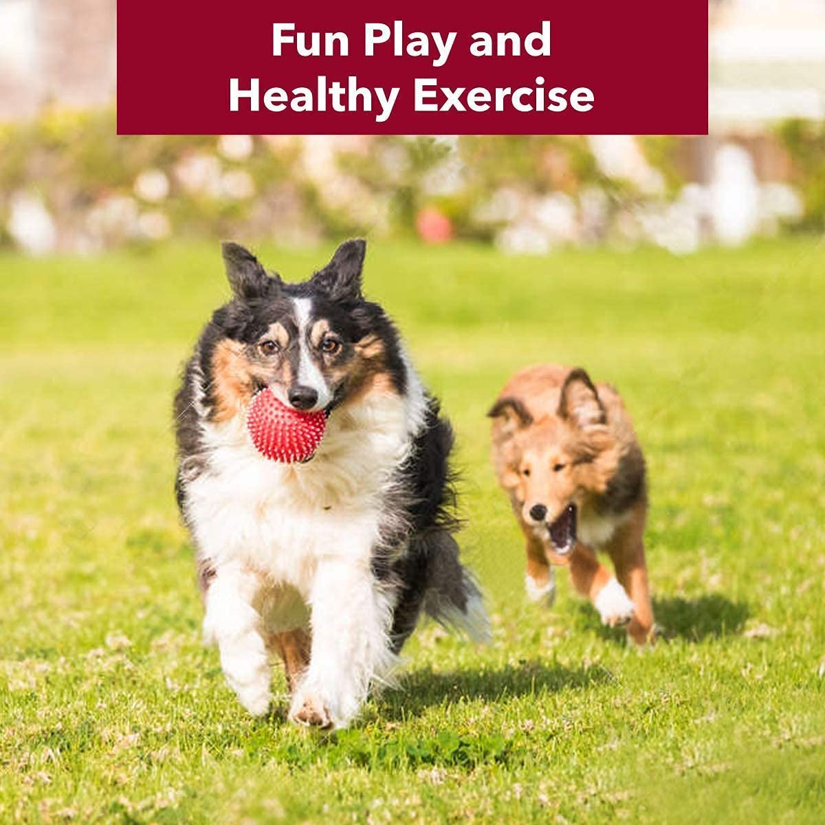 Pets Empire Spike Ball for Dogs - Pack of 2