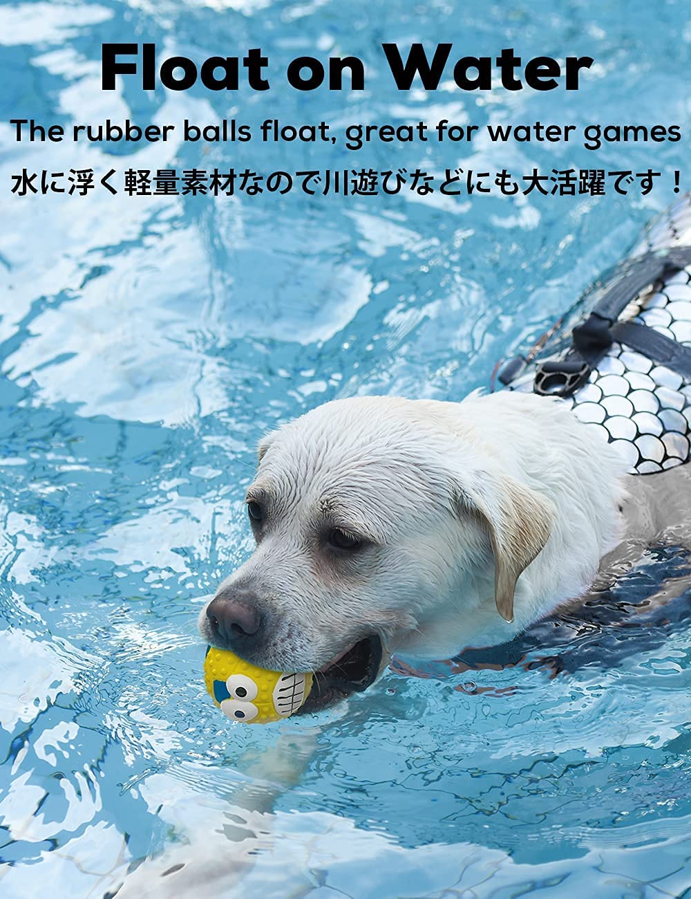 Pets Empire Balls for For Puppy Dogs (Any 2 pc)