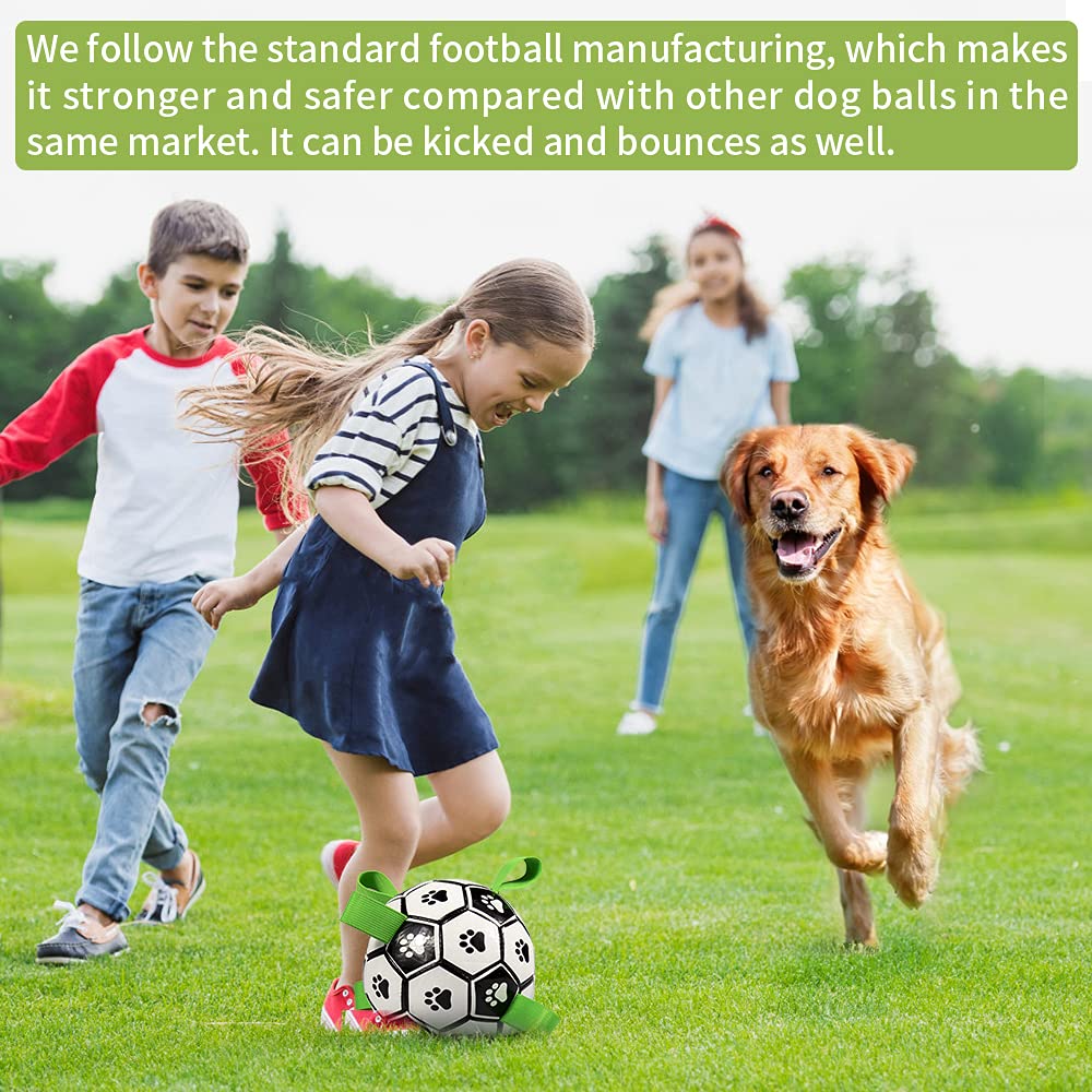 PETS EMPIRE Football Toy for Dogs