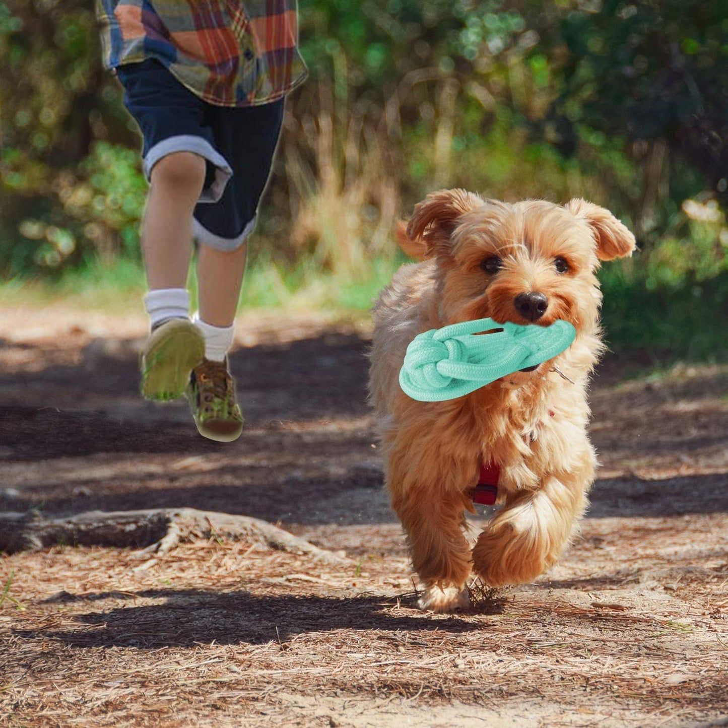 Pets Empire Slipper Chew Rope Toy - Pack of 2