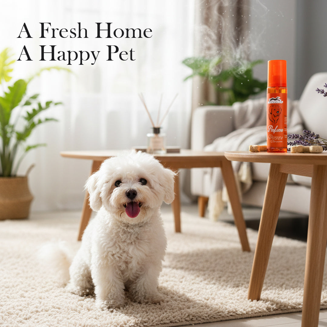 Pets Empire Doggy Dreams Perfume for Dogs