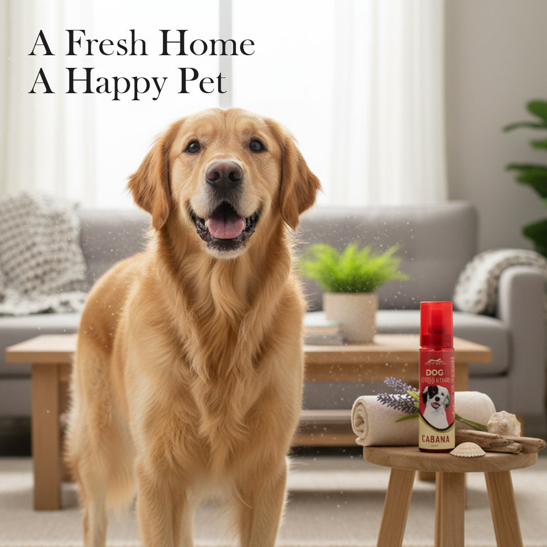 Pets Empire Cabana Dog Perfume for Dogs