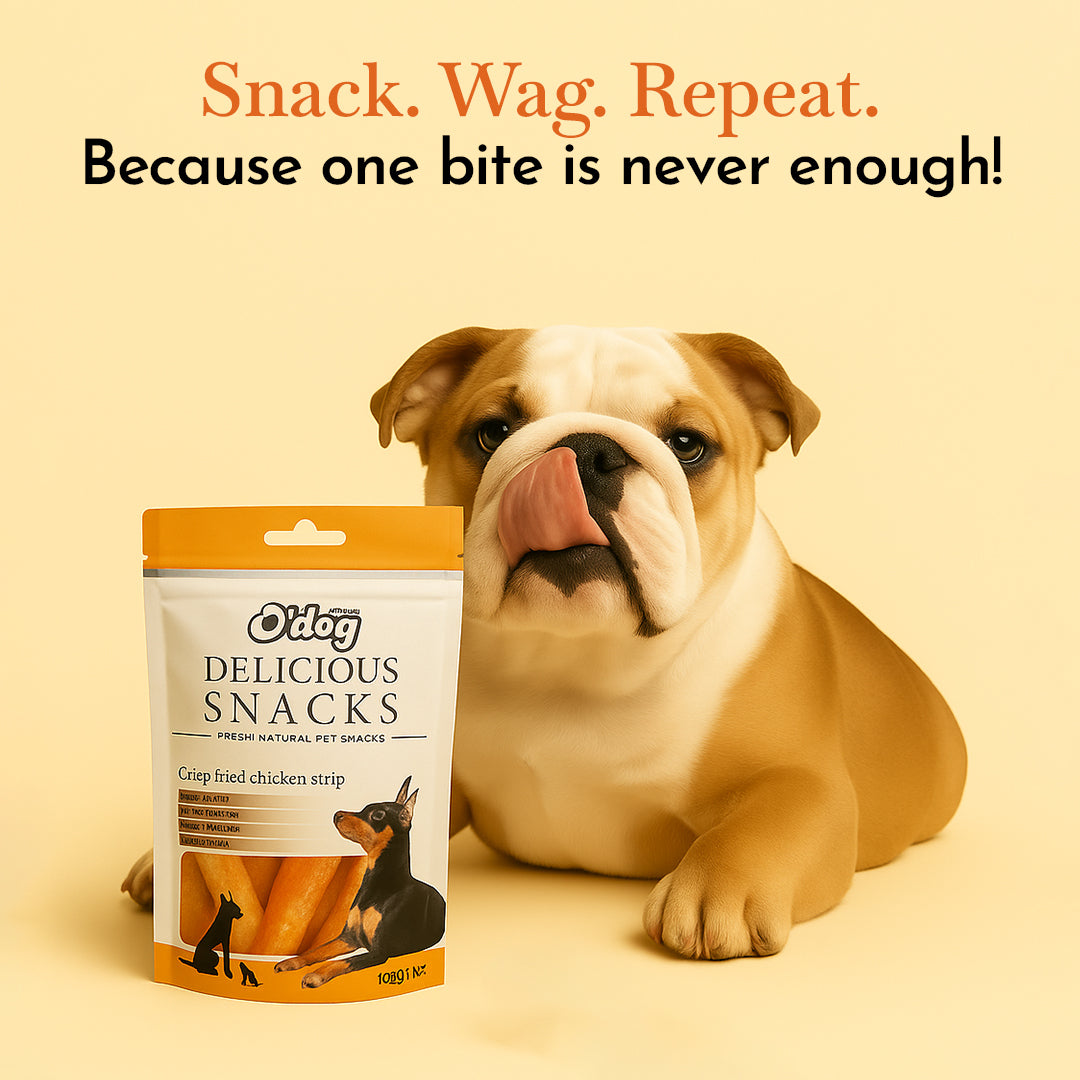 O'Dog Crisp Fried Chicken Strip Healthy Dog Treat (100g)