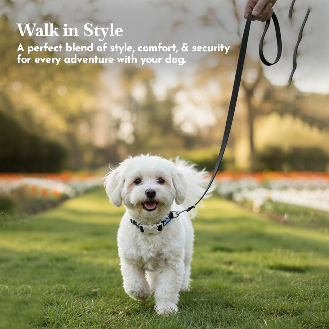 PETS EMPIRE Classic Dog Collar & Leash Set with Bow-Black