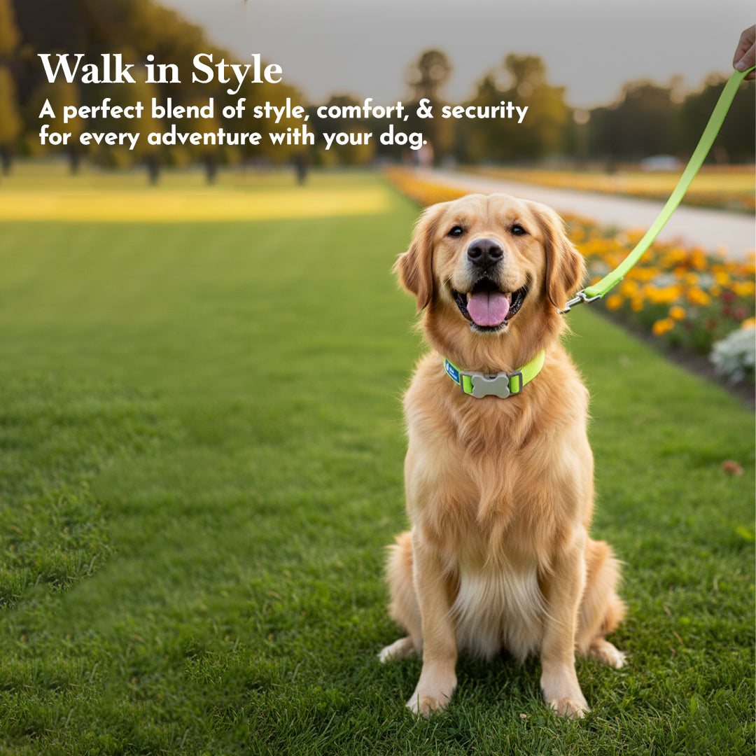 PETS EMPIRE Classic Dog Collar & Leash Set with Bow- Green