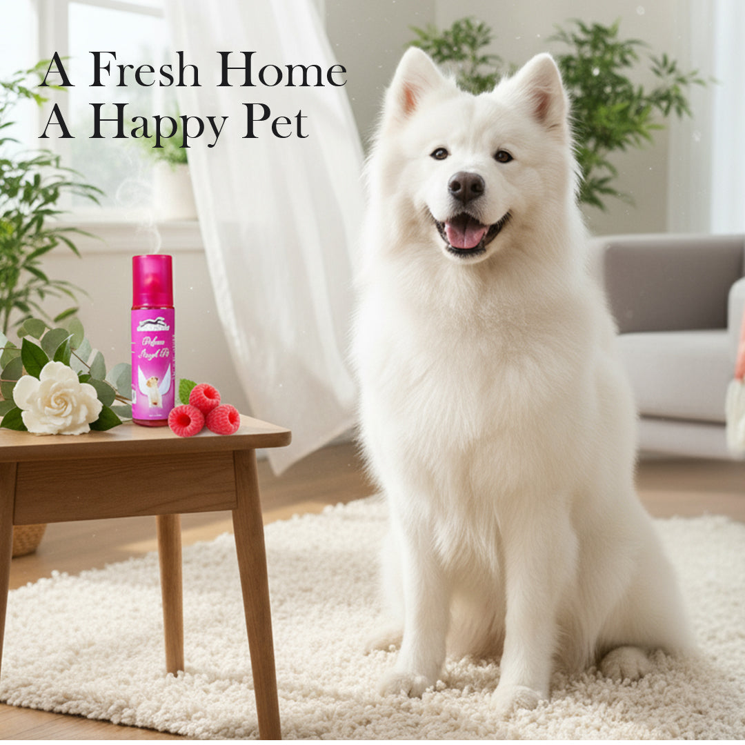 Pets Empire Dog Perfume- Angel Pet