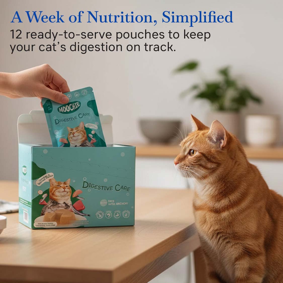 Moochie Cat Wet Food Digestive Care (85g)