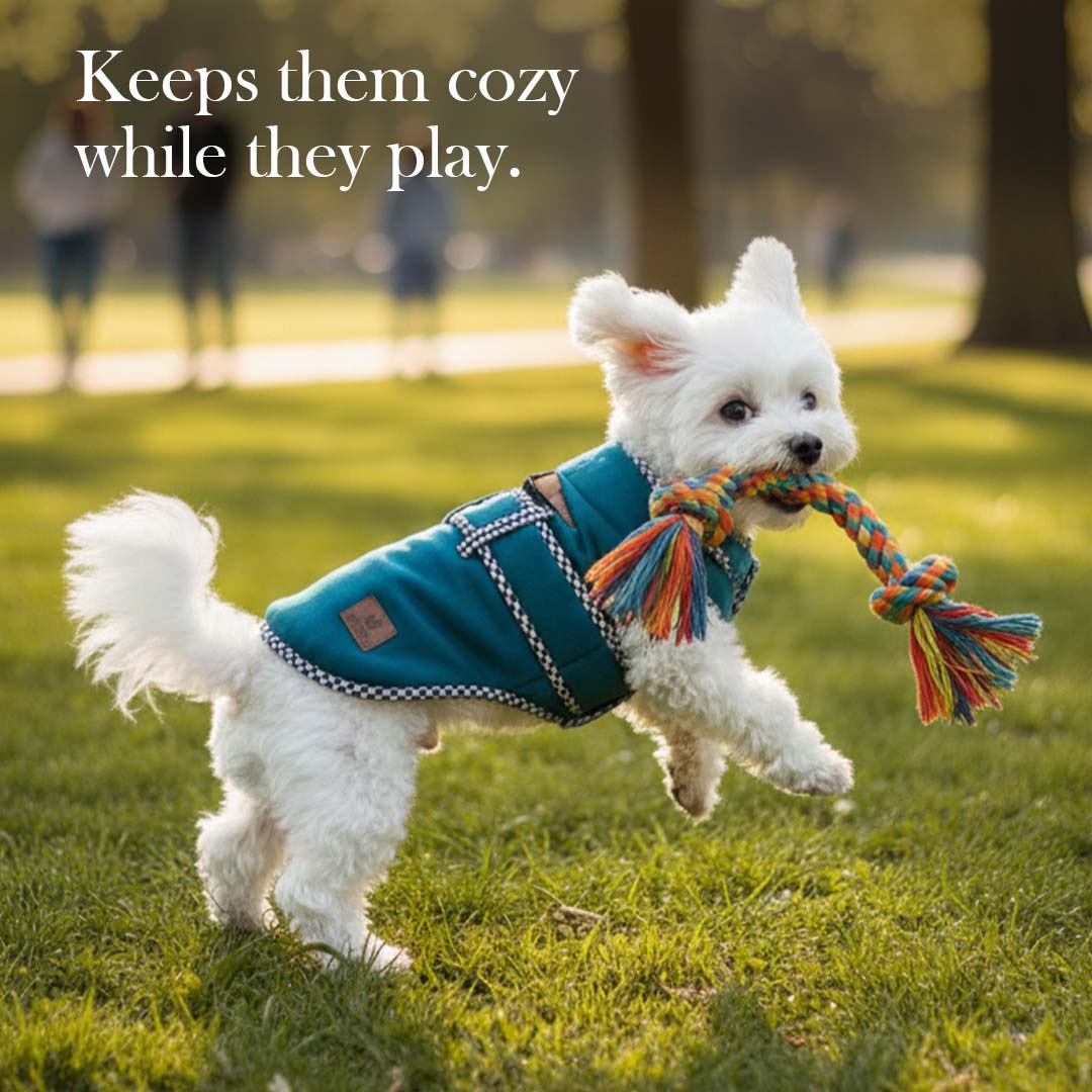 Pets Empire Classic Winter Coat For Dogs - Deep Blue