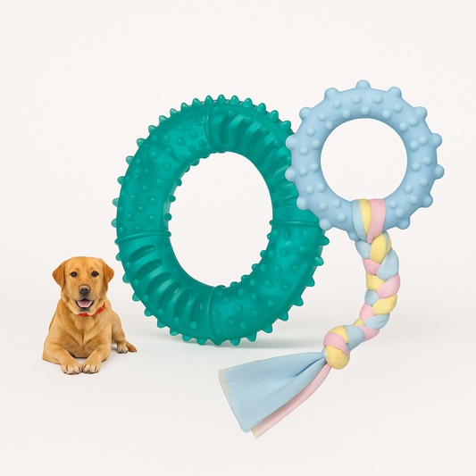 Pets Empire Combo of Rope Toy With Spike Ring For Dogs (Pack of 2)