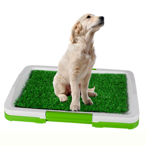 Pets Empire Potty Training Grass Tray for Puppies & Small Dogs