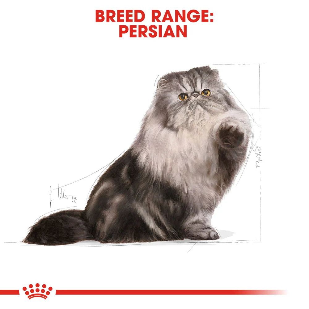 Royal Canin Persian Adult Dry Cat Food-2Kg