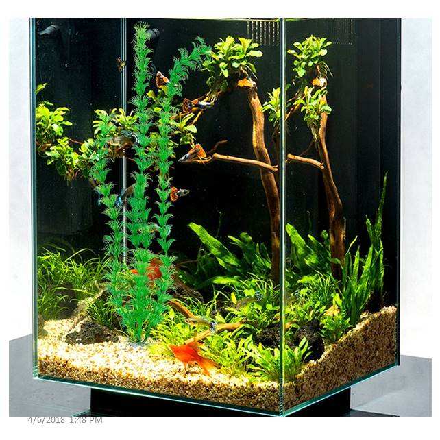 Pets Empire Aquamarine Artificial Green Grass Water Plant for Fish Tank (Pack of 2)