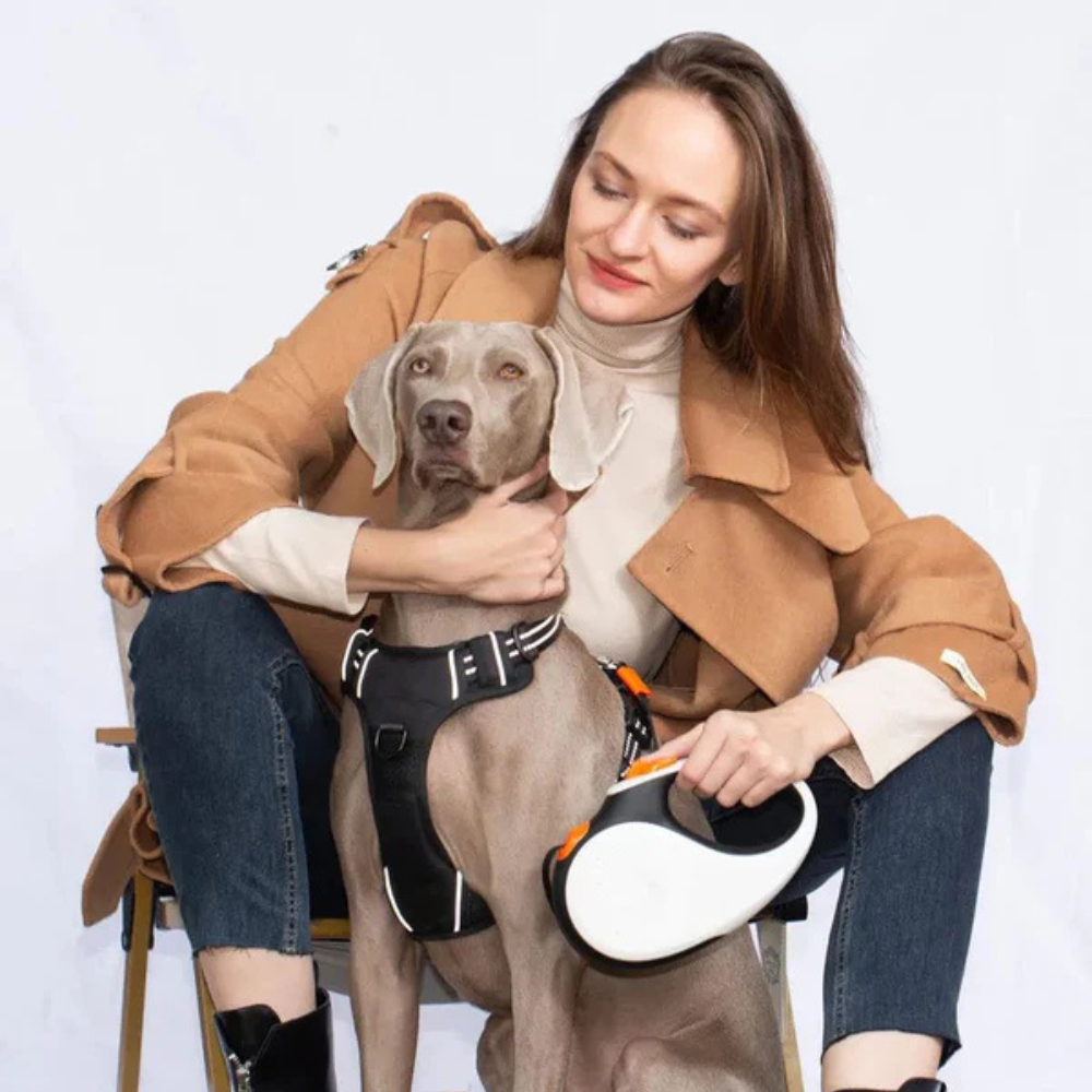 Pets Empire 360° Tangle-Free Heavy Duty Retractable Dog Leash (Multicolor)