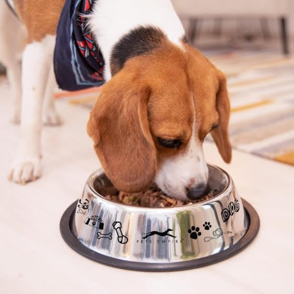 Pets Empire Stainless Steel Printed Dog Bowl (700ML- Pack of 2)