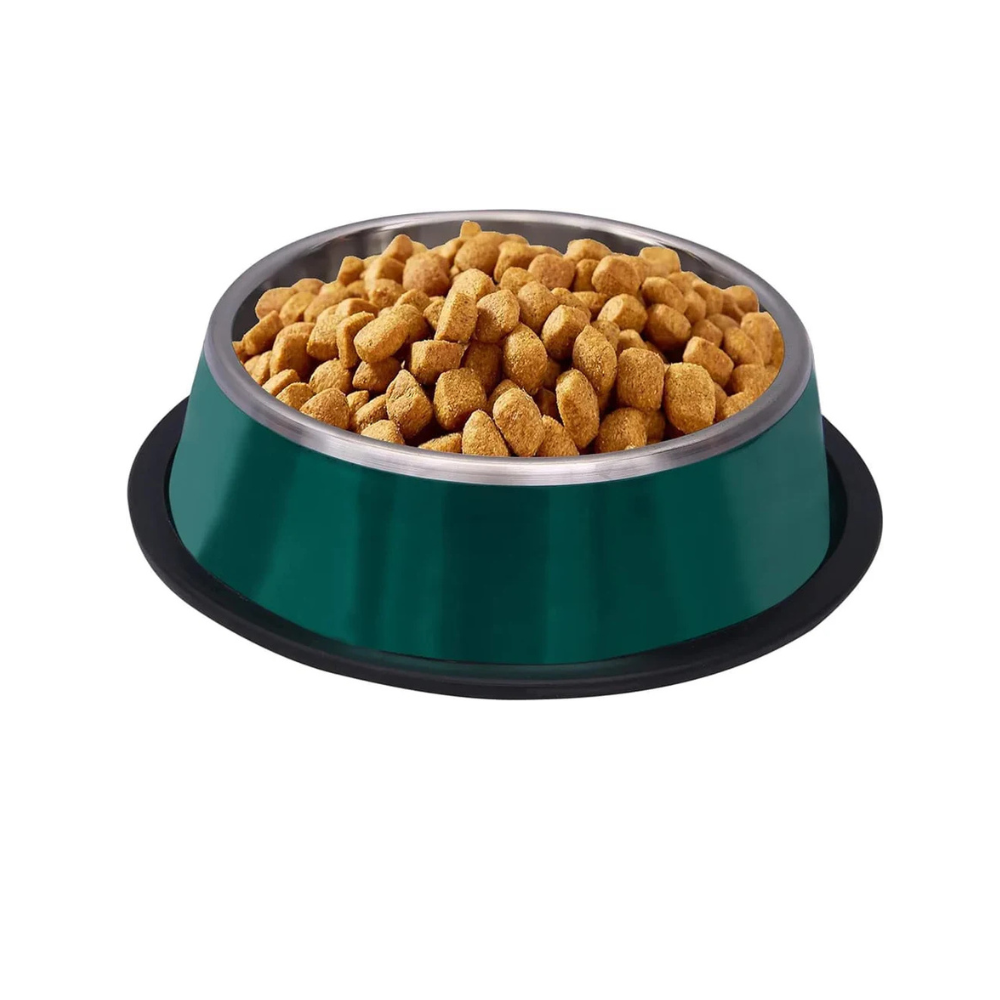 Pets Empire Stainless Steel Bowls for Dogs & Cats- Bottle Green