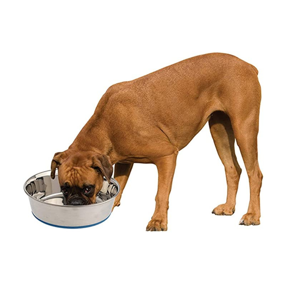 Pets Empire Classic Stainless Steel Dog Bowl (Pack of 2)