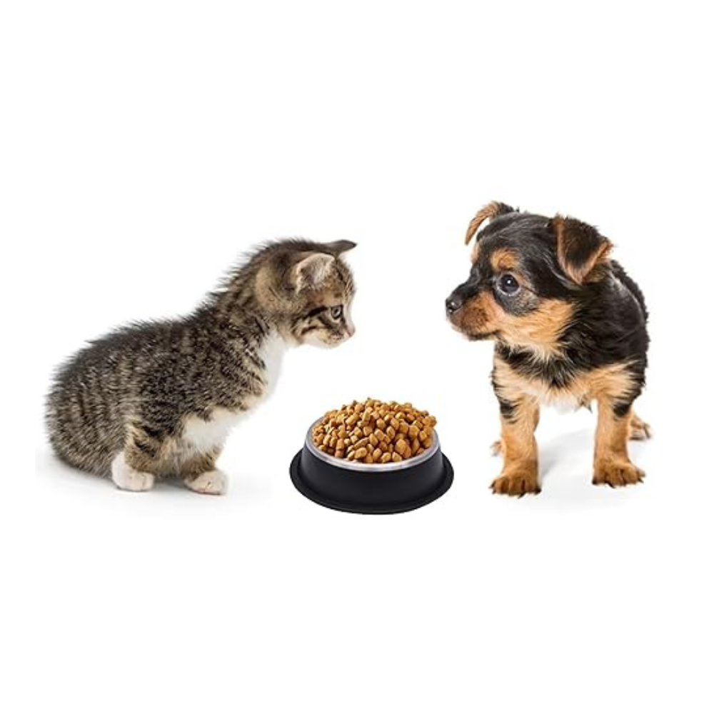 Pets Empire Stainless Steel Bowls for Dogs & Cats- Black