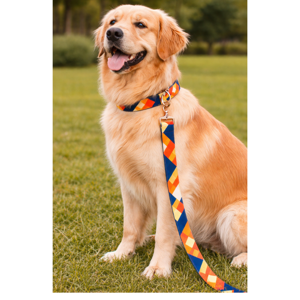 PETS EMPIRE Forestta Dog Collar & Leash Set with Bow (X-LARGE)