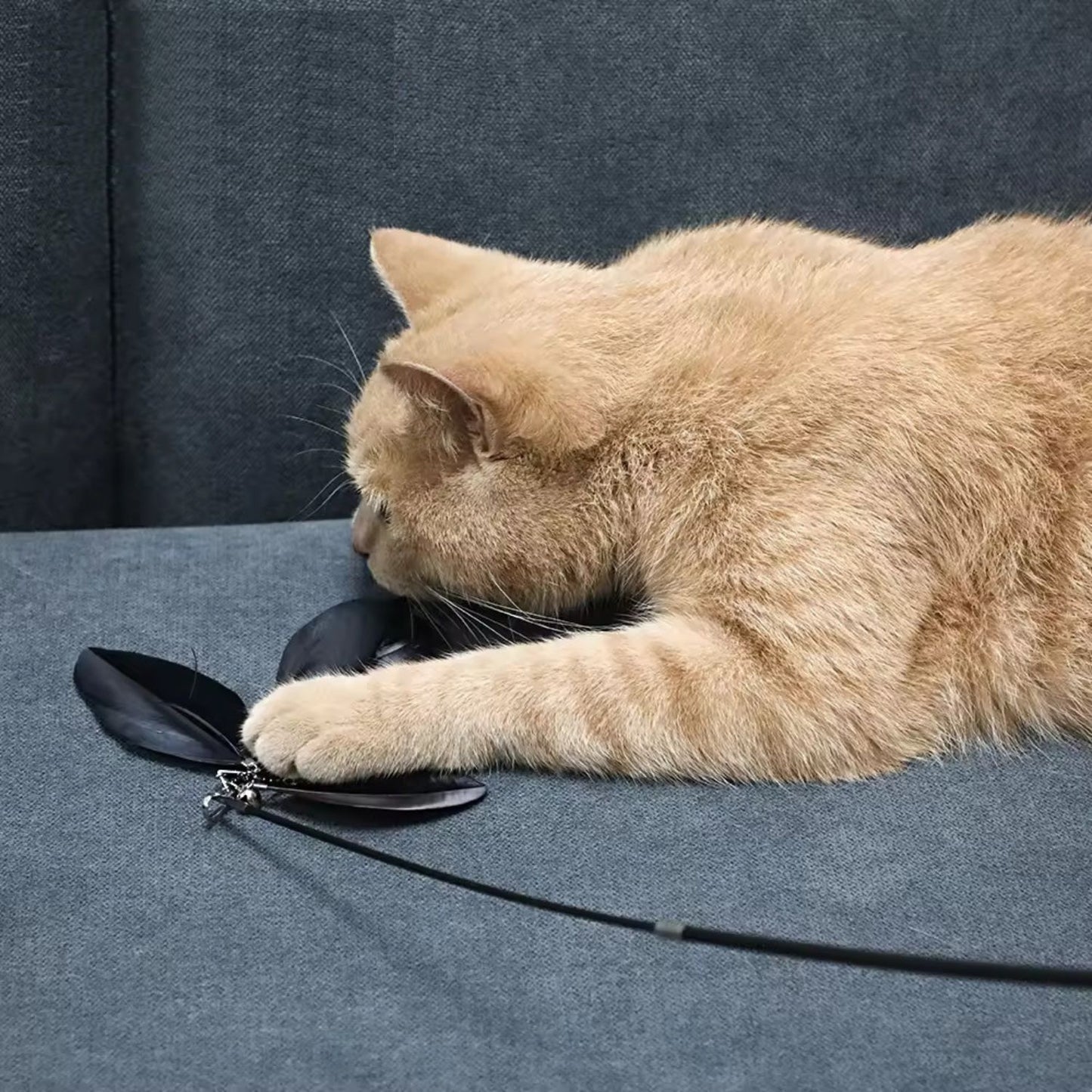 Pets Empire Cat Stick, Feather Wand for Cat