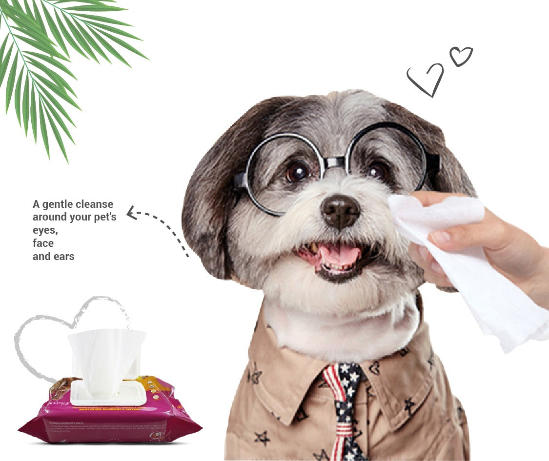 Pets Empire All Natural Pet Wipes