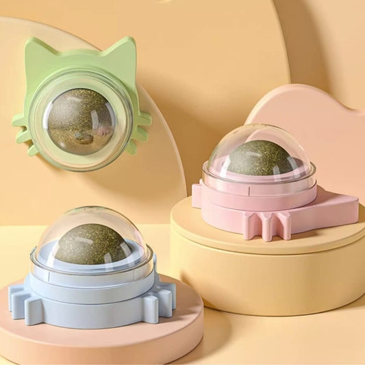 PETS EMPIRE Catnip Wall Ball Teeth Cleaning Cat Toy (Pack of 3)