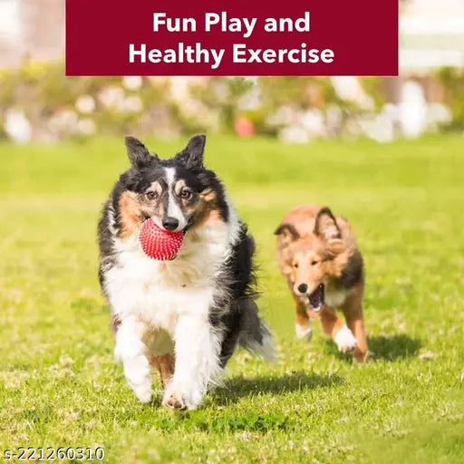 Pets Empire Rope & Treat Ball Combo