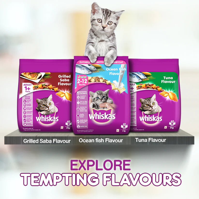 Whiskas Mackerel Flavour Dry Food For (2-12 Months) Kitten