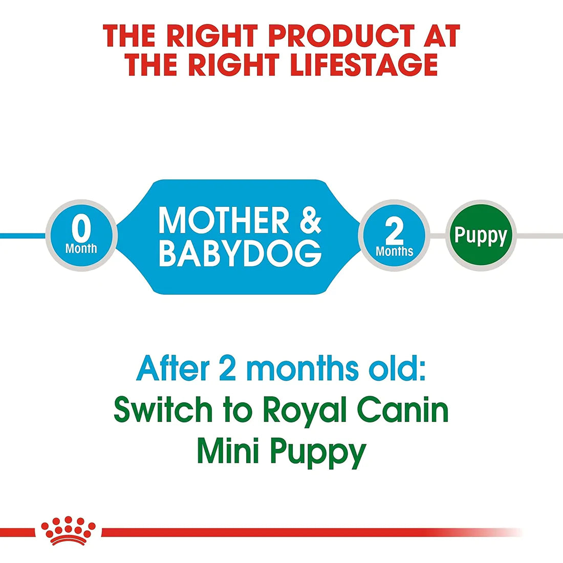 Royal Canin Mini Breed Starter Dry Puppy Food – Complete Nutrition for Puppies