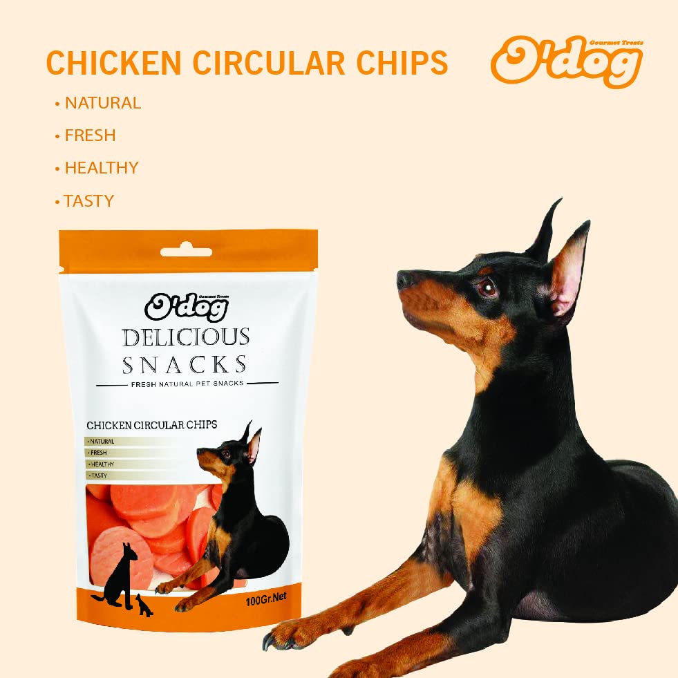 Are Publix Dog Treats Made In China