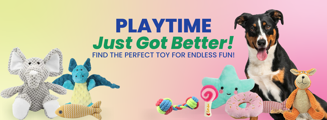 The Best Toys to Keep Your Dog Active & Entertained