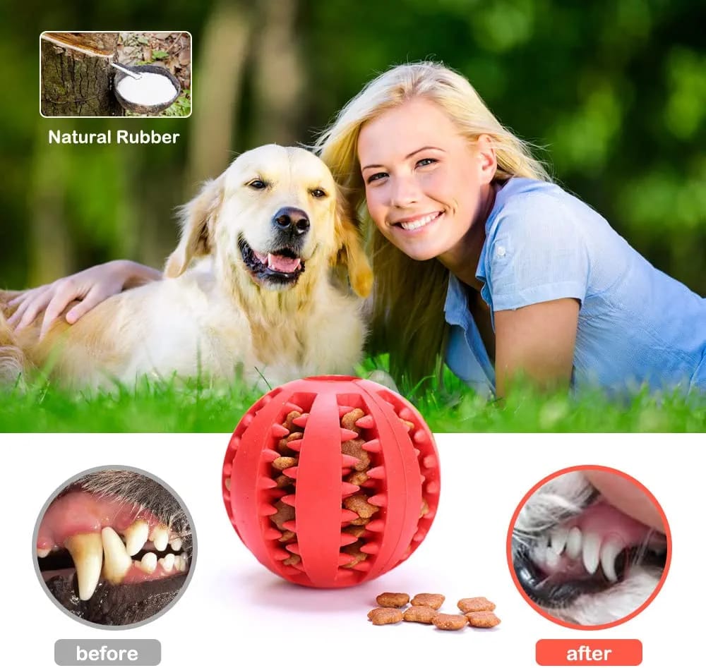 Pets Empire New Interactive Rubber Toy Balls - Pack of 2